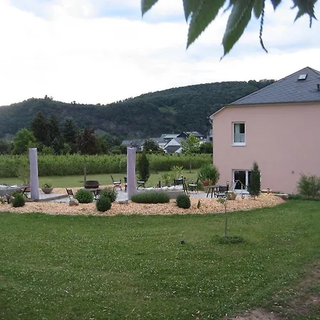 Gaestehaus Auler Hof 3* Kröv
