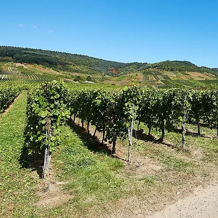 Gaestehaus Auler Hof Nocleg ze śniadaniem