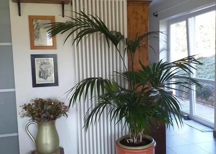 Gaestehaus Auler Hof Bed & Breakfast