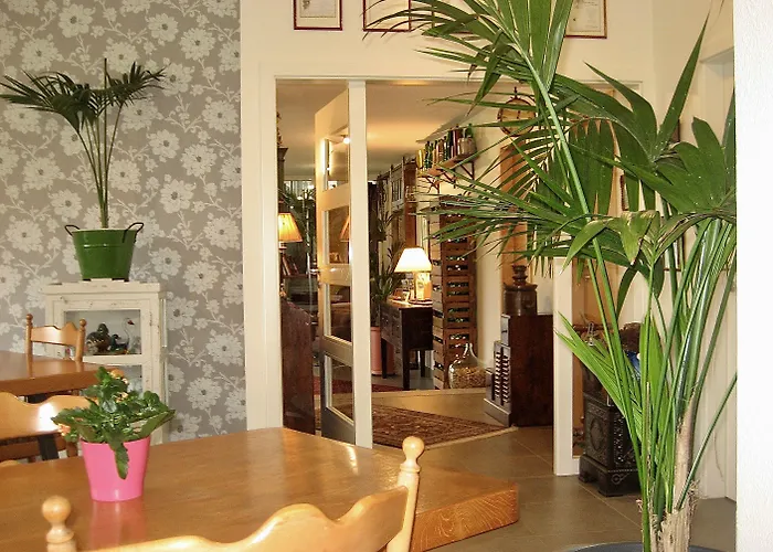 Bed & Breakfast Gaestehaus Auler Hof Kröv