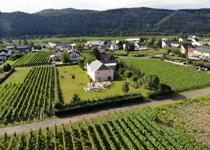 Bed & Breakfast Gaestehaus Auler Hof Kröv