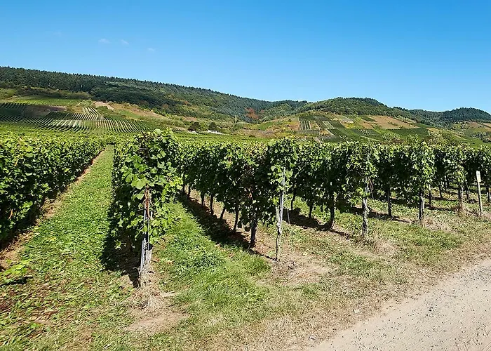 Gaestehaus Auler Hof Bed & Breakfast